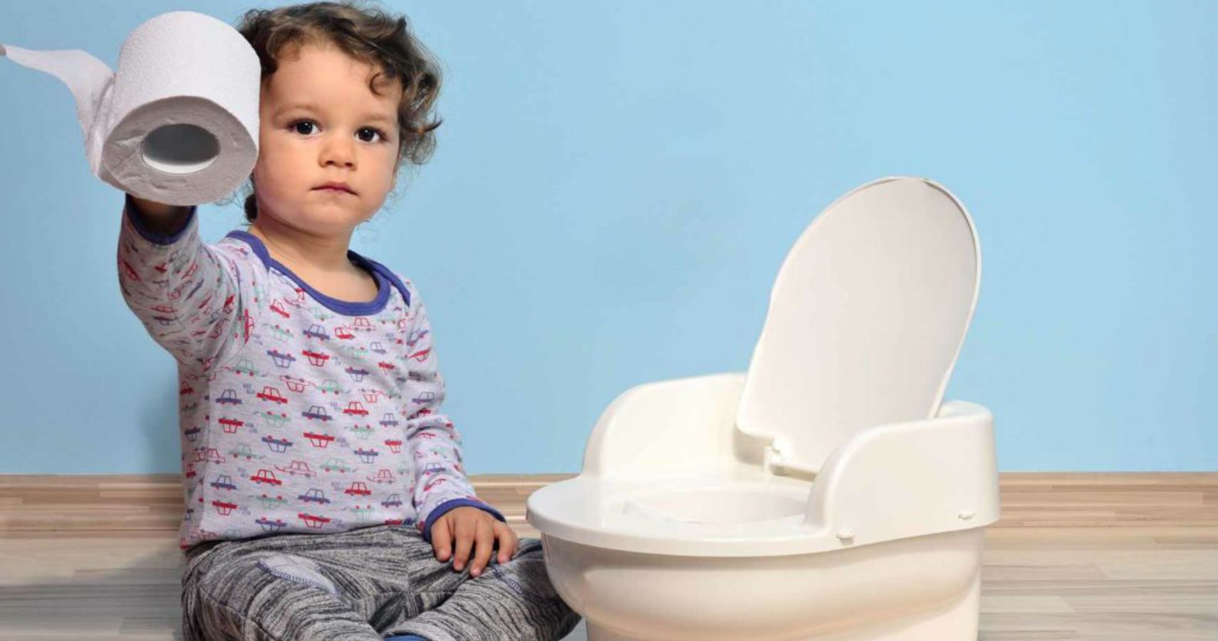 what-you-need-to-know-about-buying-a-potty-chair-babygaga